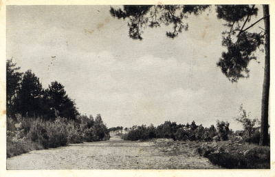 17891 Gezicht op de Maarnseberg bij Maarn.